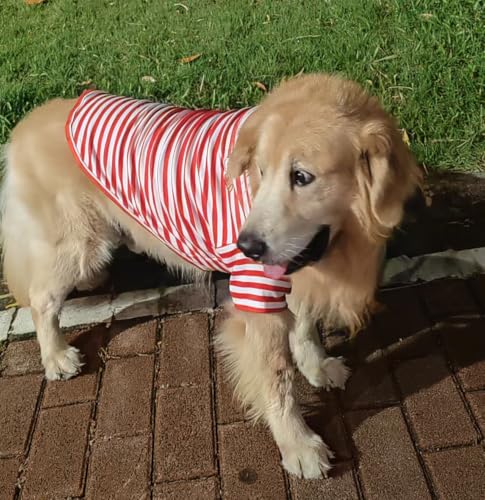 Turtleneck Dog Shirt Cute Doggie Embroidery Super Soft Dog Sweatshirt Stretchy Striped Puppy Pullover for Cats Small Medium Large Dogs (Red Striped / 5X-Large)