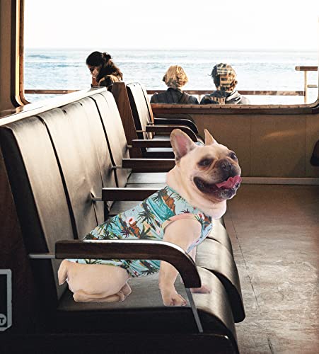 Hawaiian Dog Shirts (Green+Pink / Medium)