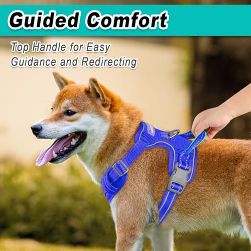 Dog Harness for Medium Sized Dog No Pull Mesh 2 Clips Dog Vest (Medium / Sapphire Blue-Mesh)