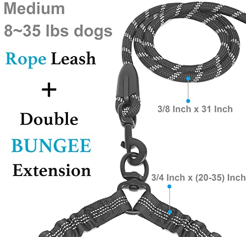Double Dog Leash (Black / Medium)