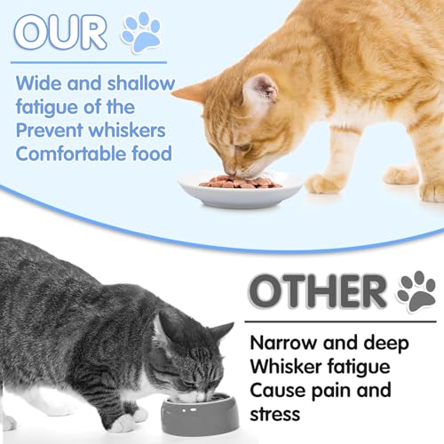 6 Pack Cat Food Bowl (White)