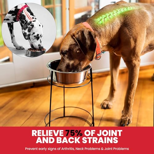 Hi Rise Single Diner Elevated Dog Feeder (Single)