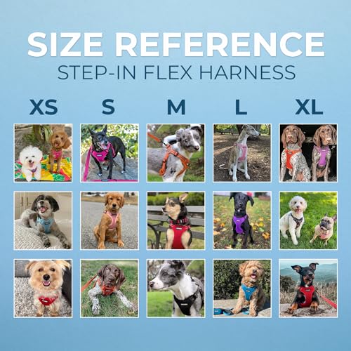 Voyager Adjustable Step (Harness Leash Set (Baby Blue) / M)