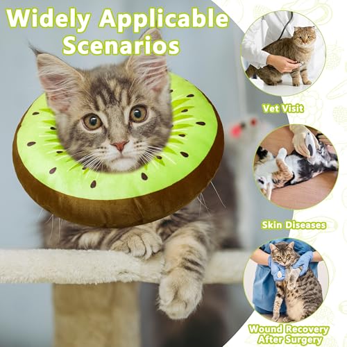 Cat Cone Collar Soft (Kiwifruit / Large)