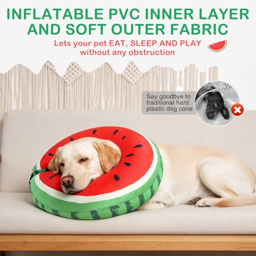 Recovery Donut Collar for Medium Large Dogs (Red Watermelon / L(Neck 16"-18"))