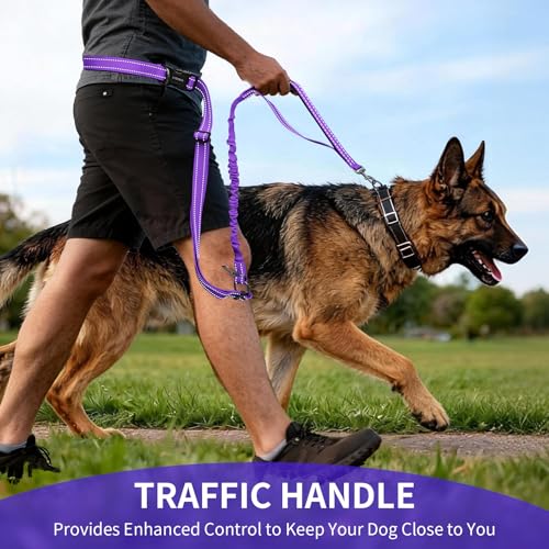 Hands Free Dog Leash by Kazazoo (PRUPLE Bungee / M)