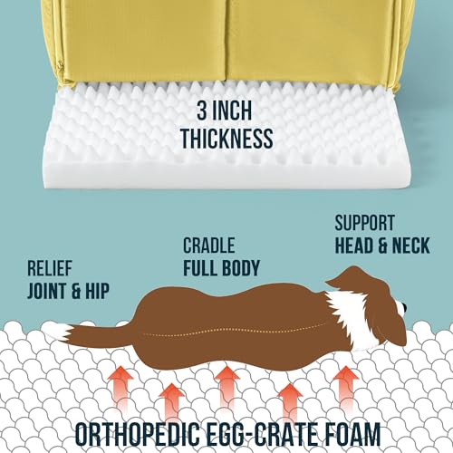 Orthopedic Dog Bed House (35"L x 22"W x 23"Th / Moonstone)