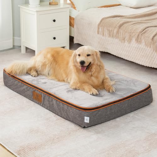 Orthopedic Memory Foam XXL Dog Bed (48.0"L x 30.0"W x 6.0"Th / Light Grey)
