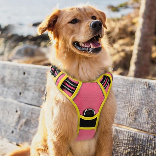 Dog Harness for Large (Pink & Yellow / X-Large)