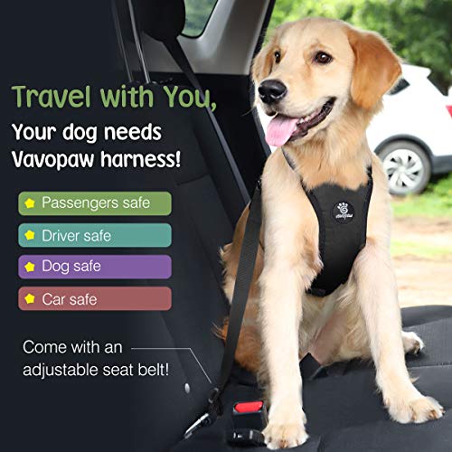Dog Seat Belt Vest Harness for Car (Black / XL (Chest: 24.4-34.7", Neck: 18.9-29.1"))
