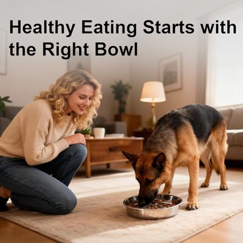 304 Stainless Steel Slow Feeder Dog Bowls (A: Stainless Steel)