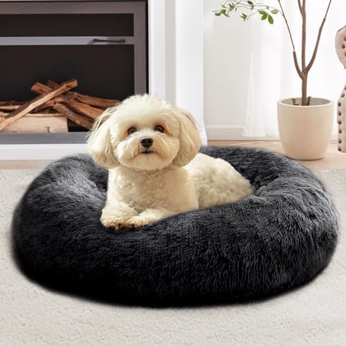 Calming Small Dog & Cat Bed for Indoor Cats (Black / 20.0"L x 20.0"W x 6.0"Th)
