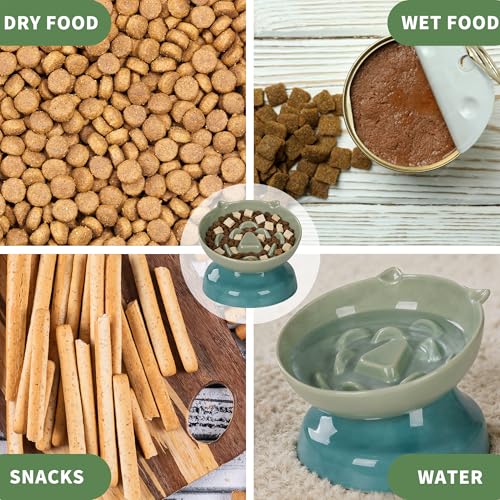 Ceramic Slow Feeder Cat Bowl (Green)