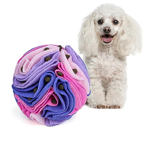 Pet Snuffle Ball (Pink and purple / 15cm)