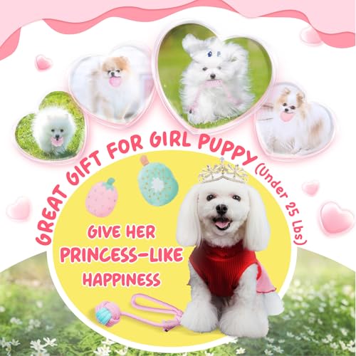Pink Puppy Toys for Boredom (Pink-Green)