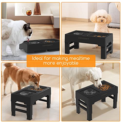 2-in-1 Elevated Slow Feeder Dog Bowls with No-Spill Water Bowl (Black / Slow Feeder)