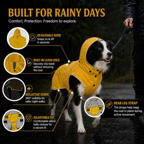 Dog Raincoat for Medium to Large Dogs (Large)