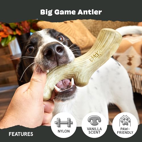 Big Game Antler Super Chewer (Medium/Large / Big Game Antler)