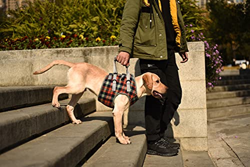 Dog Lift Harness (Medium / Chest-Orange)