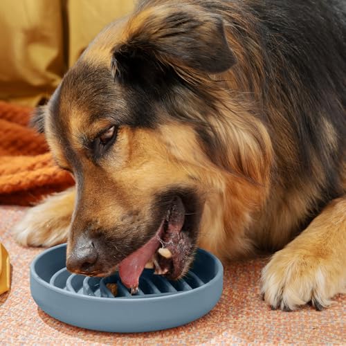 Slow Feeder Dog Bowl (Ocean - Rainbow Design / Medium (7.5” Across x 1.5” Tall))