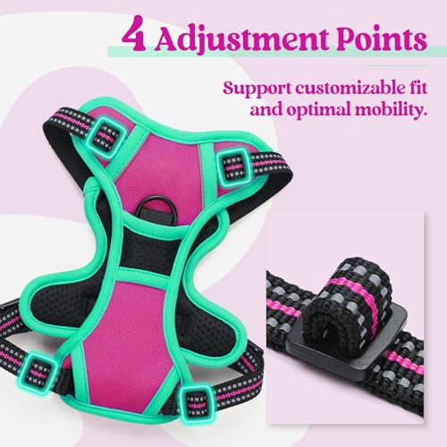 Dog Harness No Pull for Small Dogs with 2 Leash Clips (X-Small / Hot Pink & Turquoise)