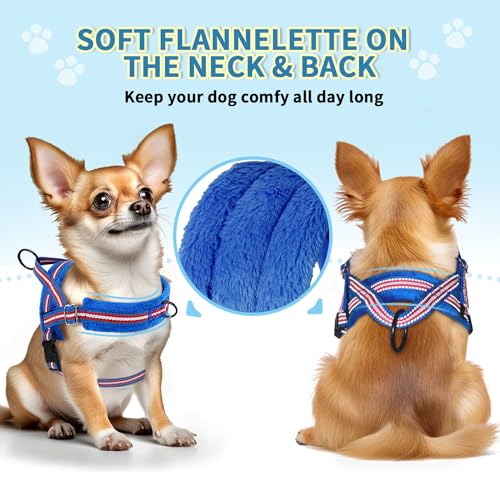 No Pull Small Dog Harness and Leash Set with Front Clip (XX-Small / Dark Blue)
