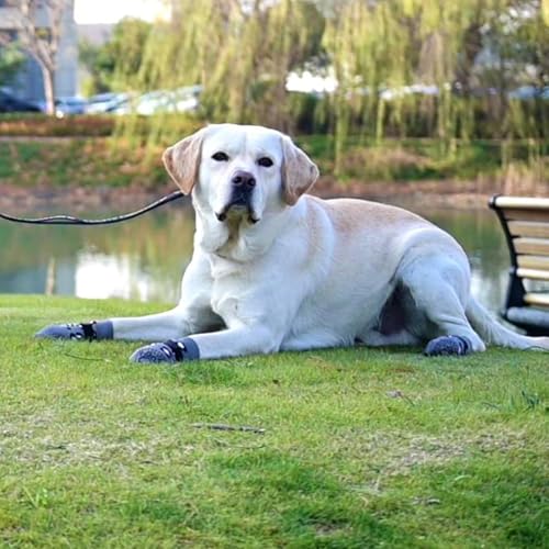Dog Socks for Hot (Leopard Grey / Small (4 Pack))