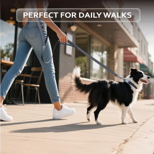 Hands Free Dog Leash (6–9.5 ft / Black)