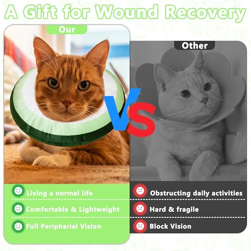 Cat Cone Collar Soft (Cucumber / Small)