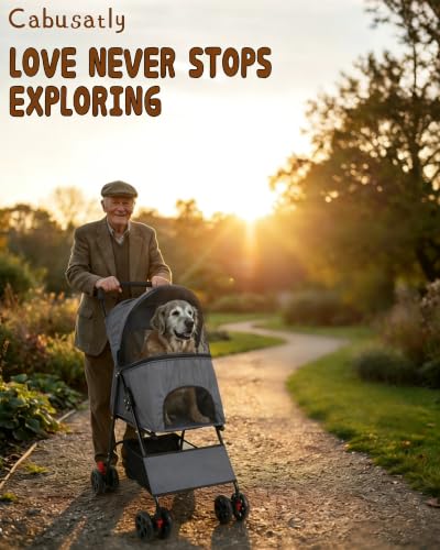 Pet Stroller for Small Dogs Cats (GRAY)
