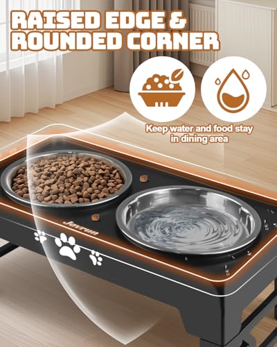 Elevated Dog Bowls for Small Dogs and Cats (for Small Dogs and Cats 2 Basic Bowls / Black)