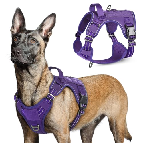 Tactical Dog Harness for Large (Purple / Large)