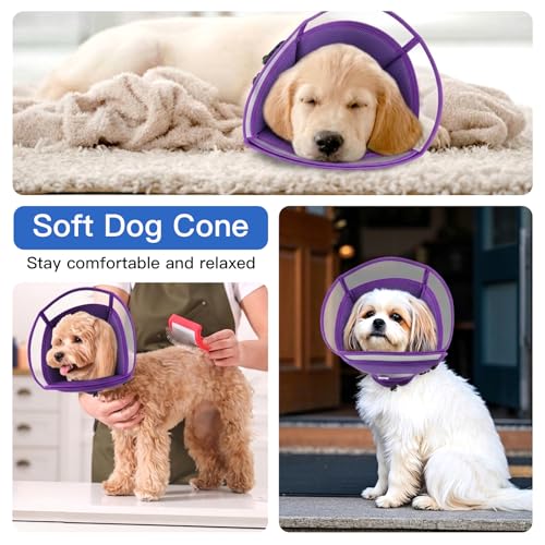 Dog Cone Alternative for Small Dogs to Stop Licking (Purple / Medium)