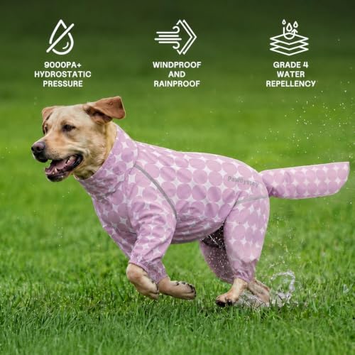 Polka Dot Dog Raincoat (Lilac / Large)