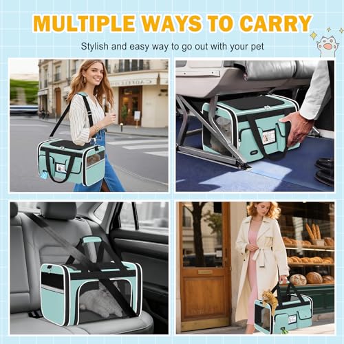 Large Cat Carrier Travel Soft Sided Pet Carrier Airline Approved (Green)
