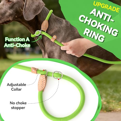 Heavy Duty Slip Lead No Pull Leash 6 (Lime Green / 6 Feet)
