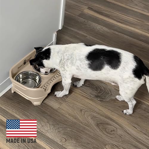 Express Mess Proof Dog Bowls Elevated for Small Breeds Under 15 Lb (Small w/ Standard Bowls / Almond)