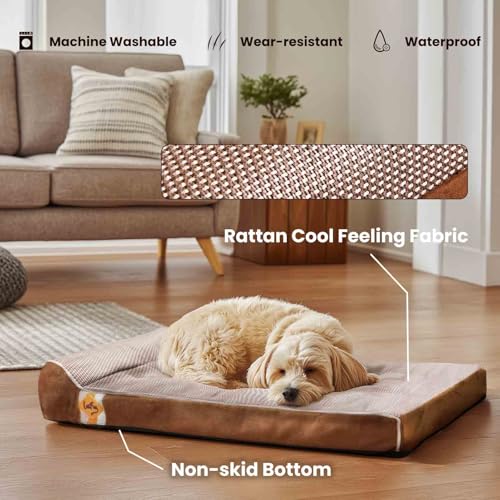Orthopedic Dog Beds for Large Dogs (34.0"L x 22.0"W x 5.5"Th / Brown)