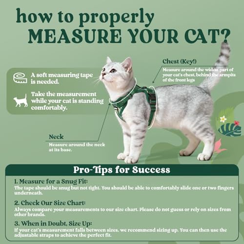 Cat Harness and Leash Set (M / Rainforest Green)