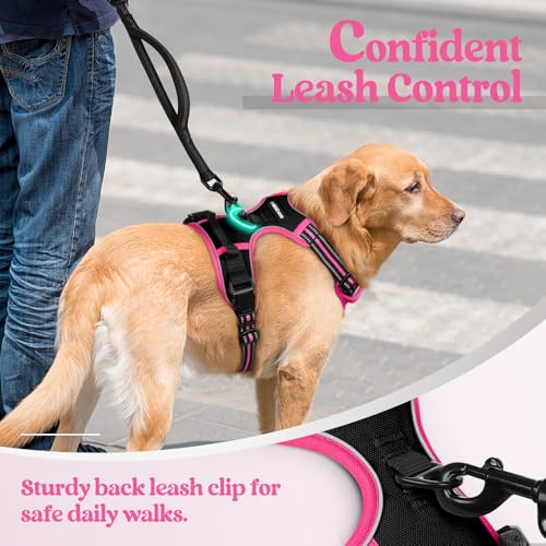 Dog Harness No Pull Medium Sized with 2 Leash Clips (Medium / Black & Hot Pink)