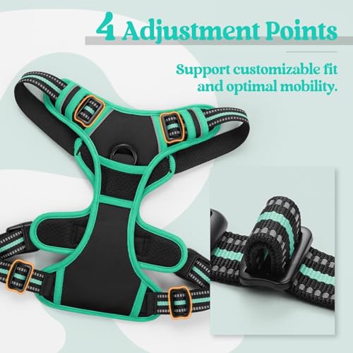 Dog Harness No Pull for Large Dogs with 2 Leash Clips (X-Large / Black & Turquoise)