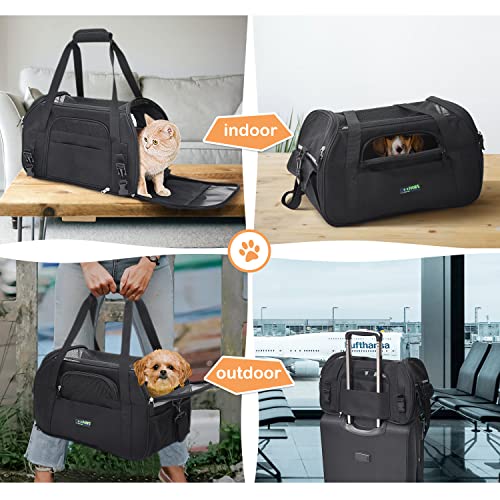 Soft Sided Airline (19.0"L x 10.0"W x 13.0"H / Black)