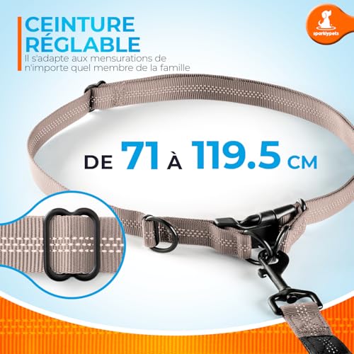 Hands Free Dog Leash (Brown / 1 dog M/L)