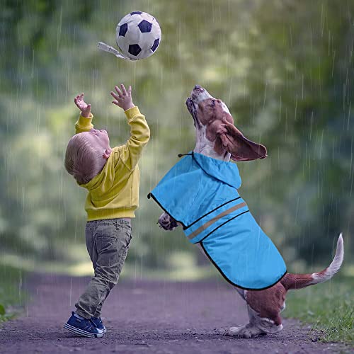 Waterproof Hooded Dog Raincoat (Blue / Large)