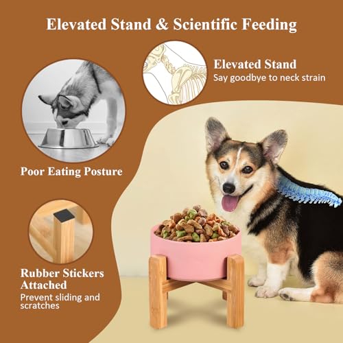 Ceramic Elevated Dog Bowl with Bamboo Stand (Medium / Yellow)