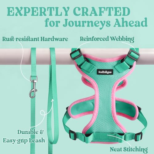 Cat Harness and Leash Set (S / Green & Pink)
