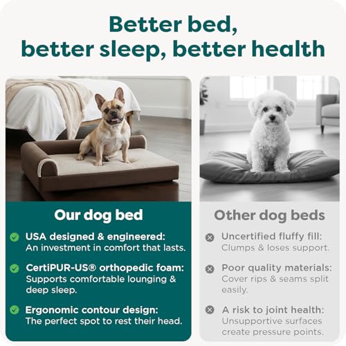 Orthopedic Dog Bed for Medium (Medium / Espresso)