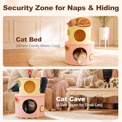2 Story Cat House for Indoor Cats (B-Double Cat House)