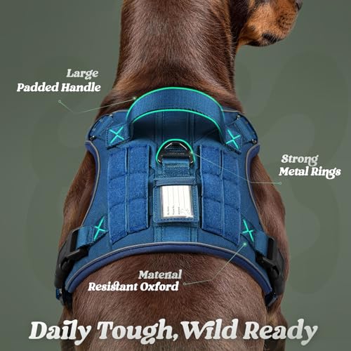 Tactical Dog Harness for Large Dogs (L(Chest:22"-37",Neck:21.1"-30.3",Back:8.3") / Blue)