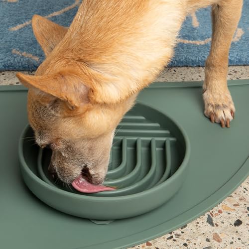 Slow Feeder Dog Bowl (Spruce / Small (6” Across x 1.25” Tall))